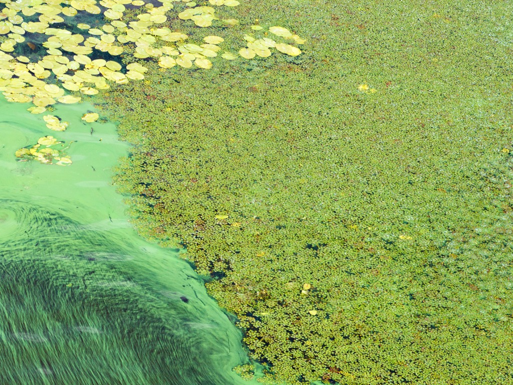 EPA guidelines and regulations