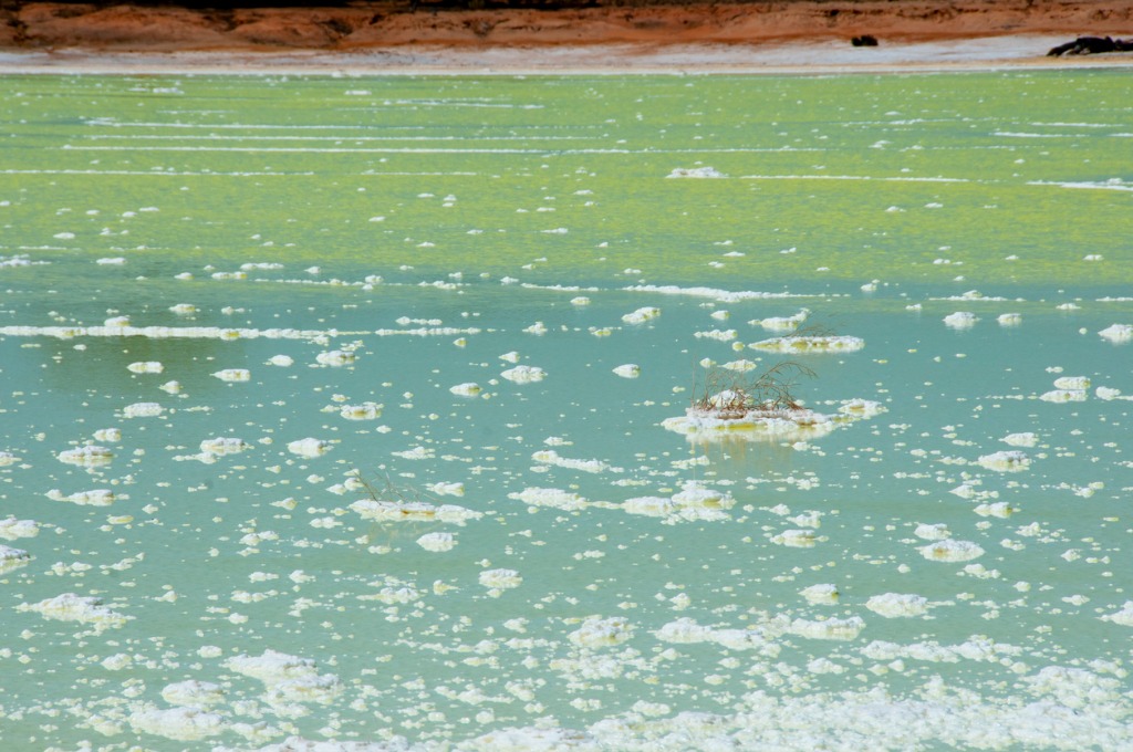 Why Are Phosphates Harmful?